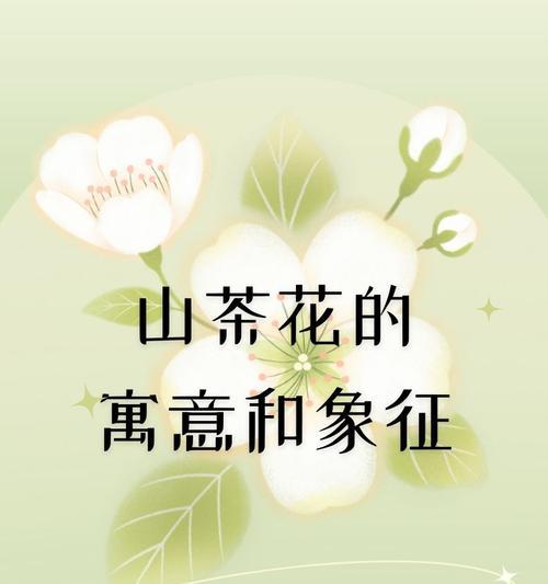 深蓝色花代表什么？深蓝色花卉的象征意义735