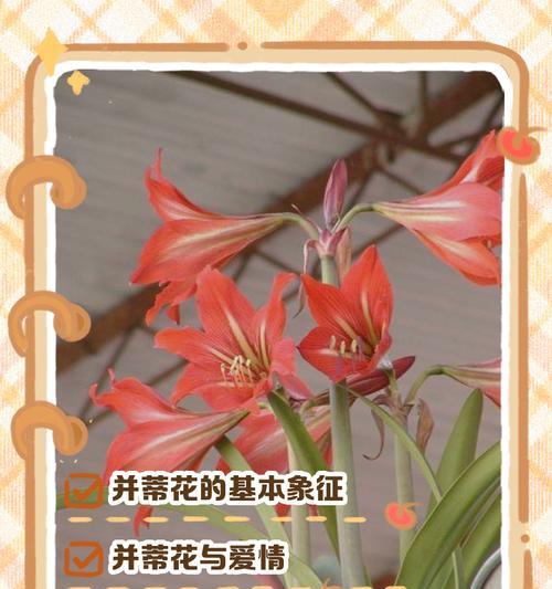 哪种花象征同性爱情？同性爱情的花语有哪些？