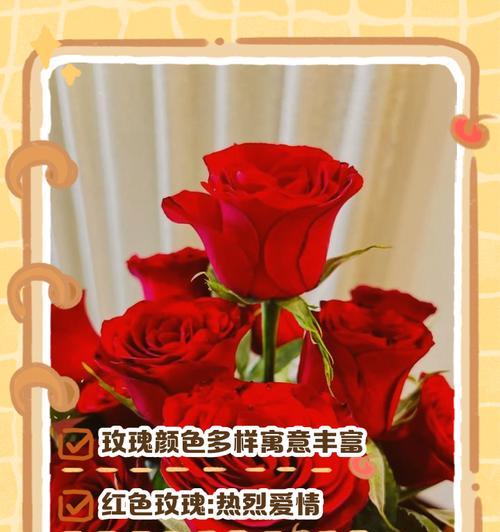 各种颜色的花都有哪些特别的寓意？