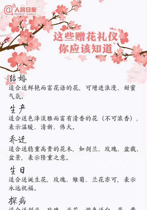 十二种花色分别代表什么？它们的花语有哪些？