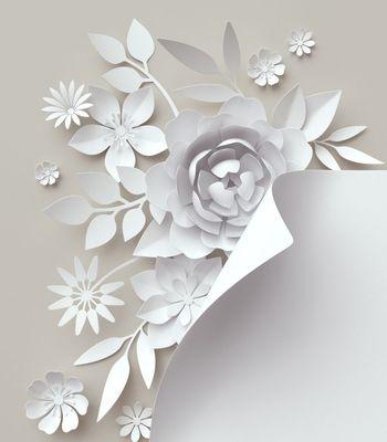 灰色花朵象征着什么？灰色花的深层含义是什么？