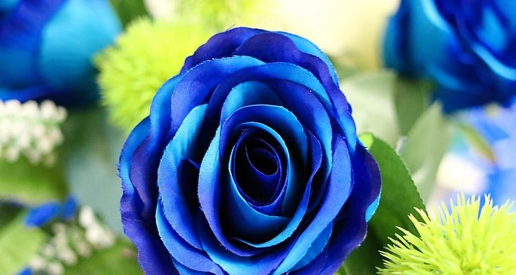 淡蓝色花卉有哪些寓意？淡蓝色花的花语是什么？