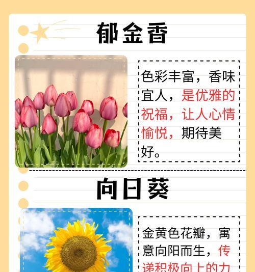 长辈送的花有哪些花语寓意？