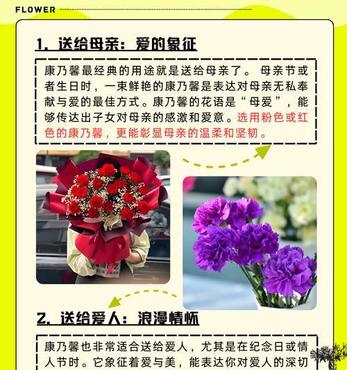 彩色花有哪些含义？它们各自象征什么？