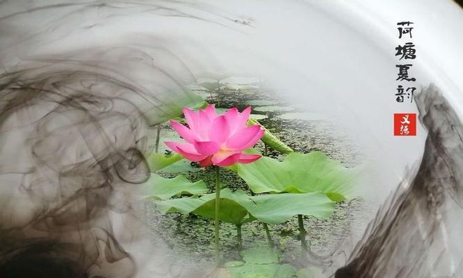 水墨绿色代表哪种花？它的寓意是什么？