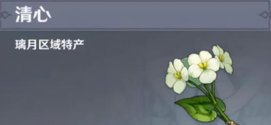 原神花酿节的意义是什么？它传达了哪些信息？