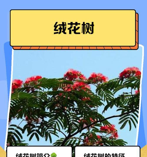 打树花的文化含义是什么？打树花代表什么？