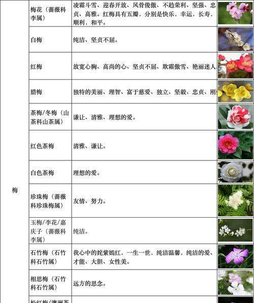 送花时如何选择花语？有哪些祝福的花语大全？