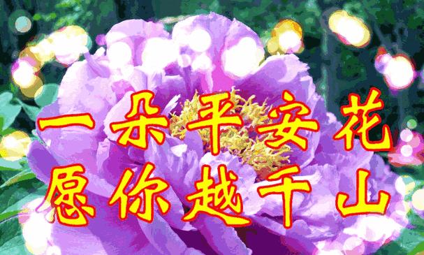 哪种花代表着最好的祝福？