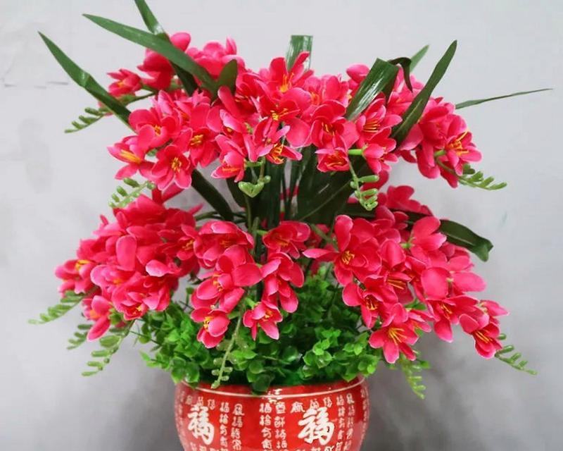 哪种花寓意长长久久的幸福？长长久久幸福的花有哪些？