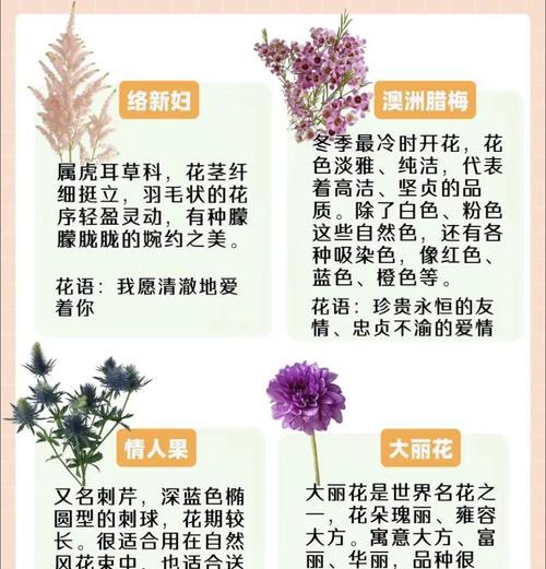 两种颜色的花组合寓意是什么？如何搭配？