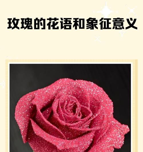 花语中的爱情寓意是什么？如何理解花的爱情象征？