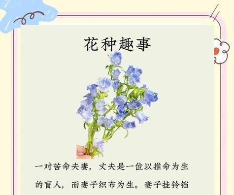 幸福花语如何表达红透的含义？