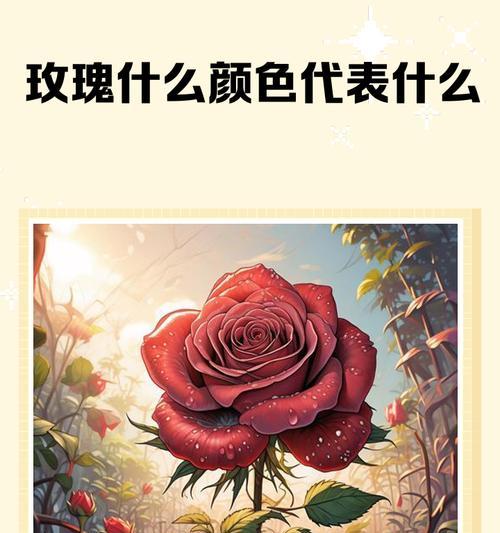 不同颜色玫瑰花各自代表什么意义？