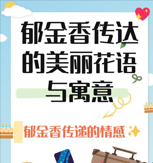 什么花象征浪漫？它们的寓意有哪些？