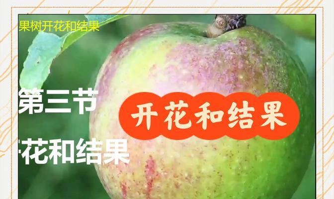 奇花异果背后的历史故事是什么？奇花异果的意义何在？