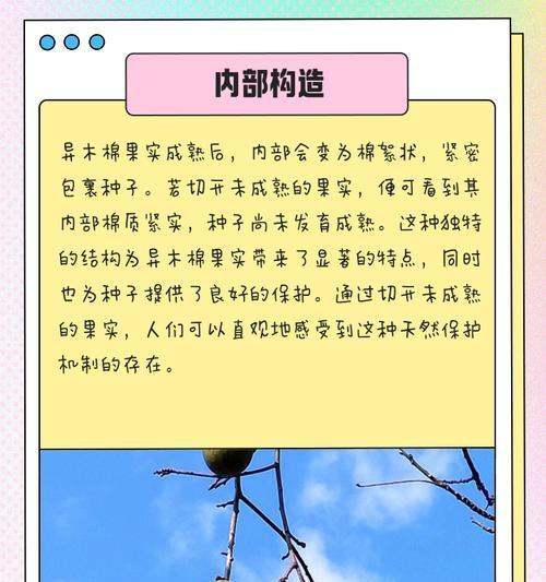 奇花异果背后的历史故事是什么？奇花异果的意义何在？