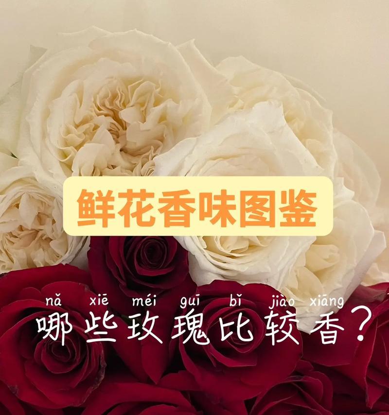 七夕节送玫瑰花的含义是什么？不同颜色的玫瑰代表什么？