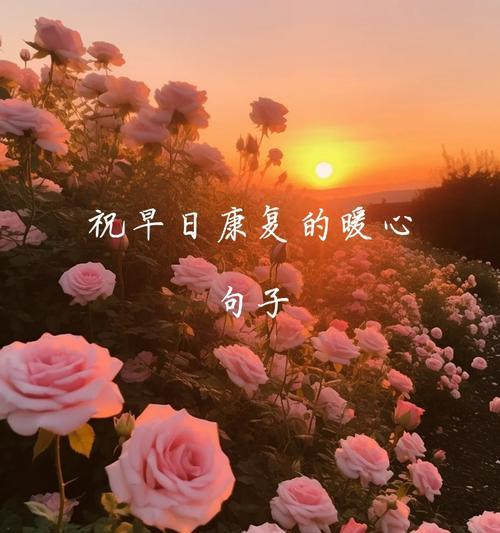 哪些花象征着早日康复？