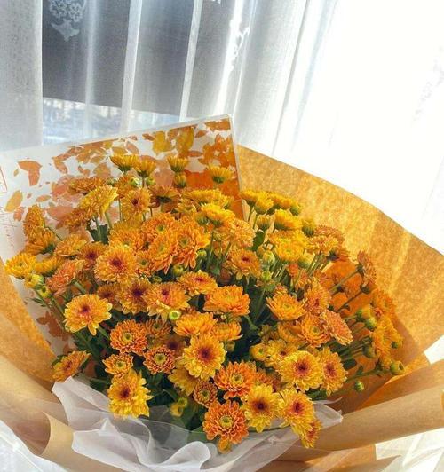 哪些花象征着早日康复？