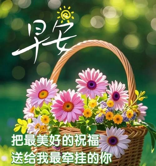 花的寓意祝福语有哪些？