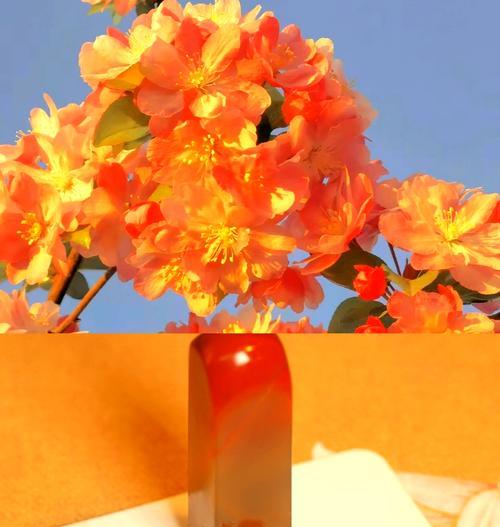 哪些花寓意悲惨爱情？