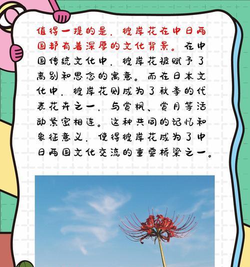 白色彼岸花寓意是什么？