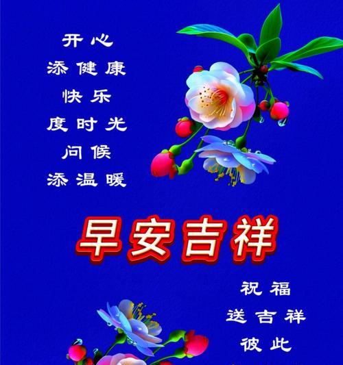 送健康花有什么寓意？哪些花象征健康和祝福？