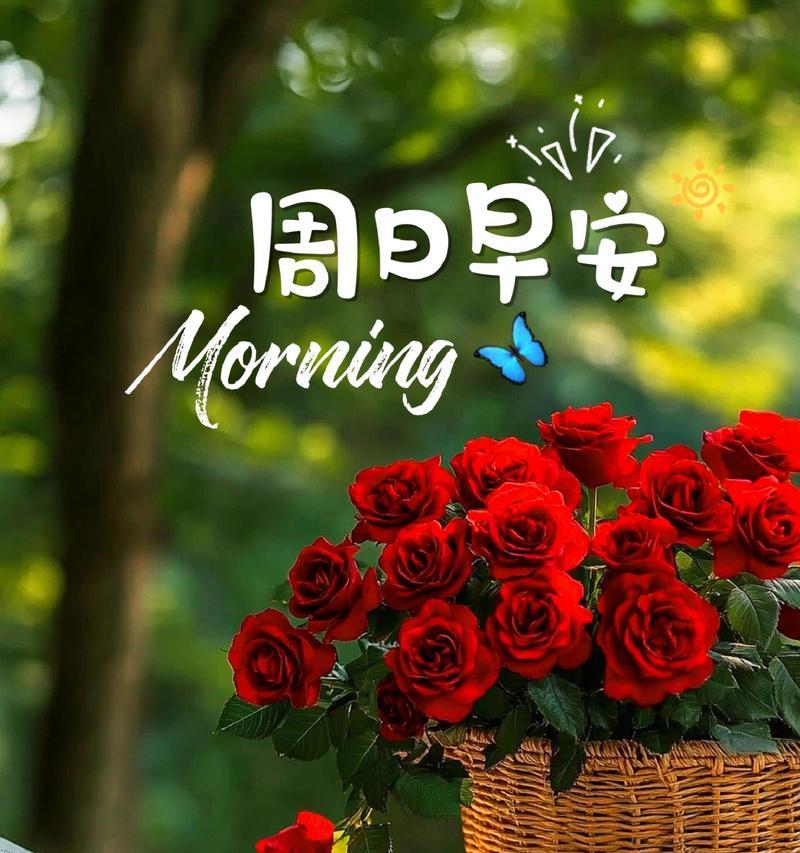 送健康花有什么寓意？哪些花象征健康和祝福？