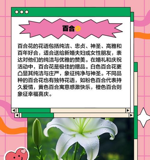如何用花表达爱情的含义？它们各自代表什么？