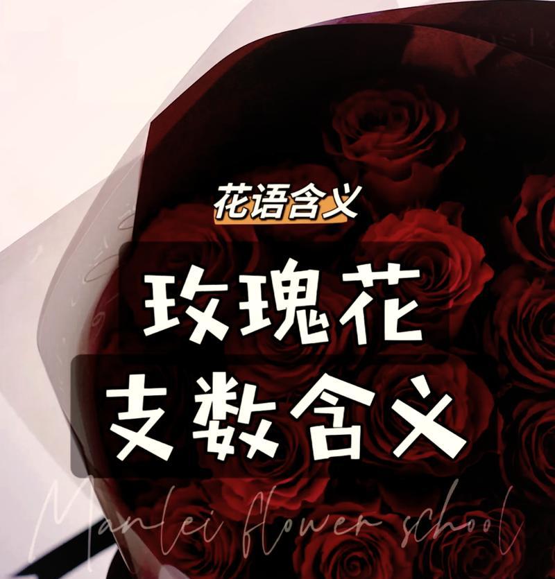 玫瑰花的花语和文化寓意有哪些？