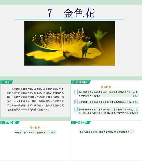 金色花课文的寓意是什么？
