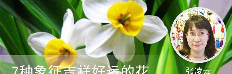 在东正教中哪种花象征健康？
