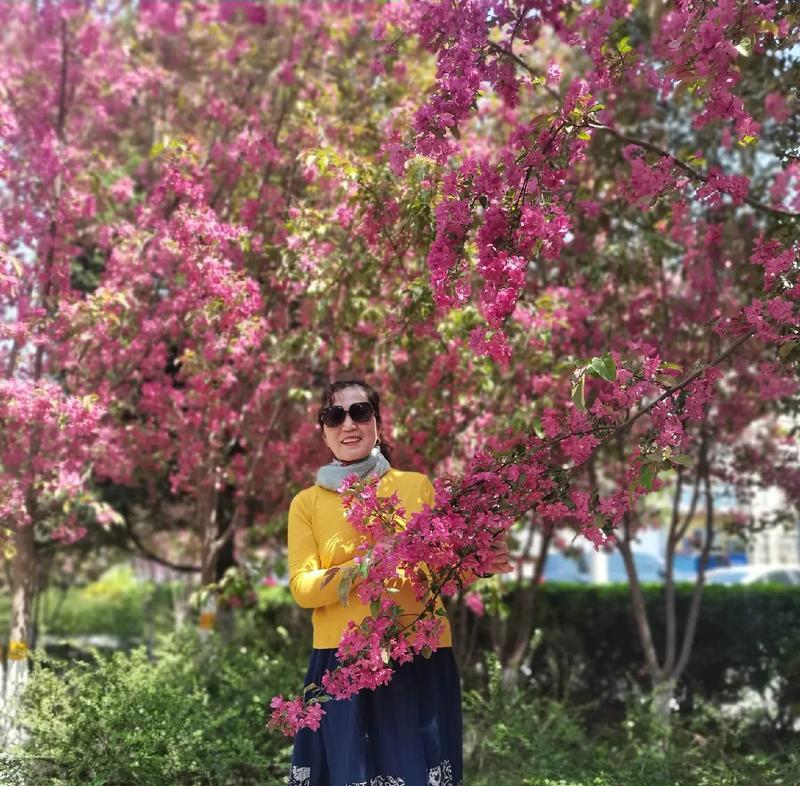 哪种花寓意全家幸福快乐？