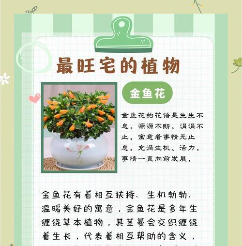 象征爱情的花金鱼有哪些种类？