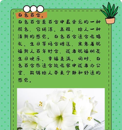 杏色百合花象征着什么？它的花语是什么？
