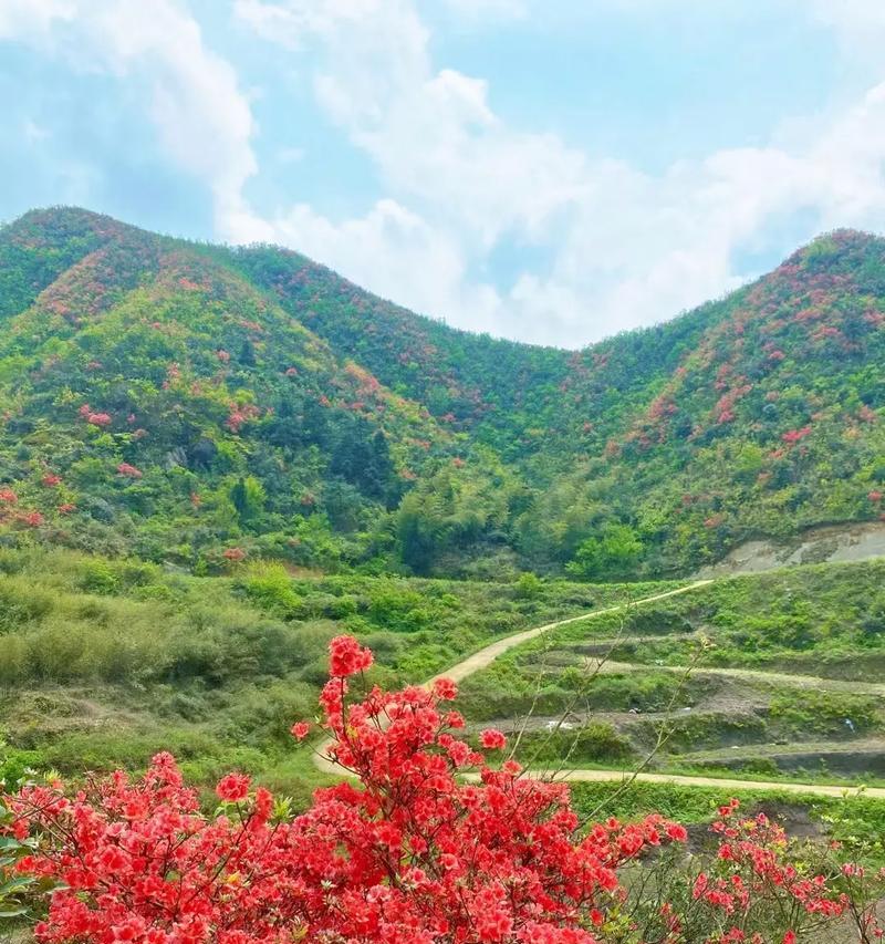 宁城杜鹃花节的寓意是什么？杜鹃花节的文化背景和意义是什么？