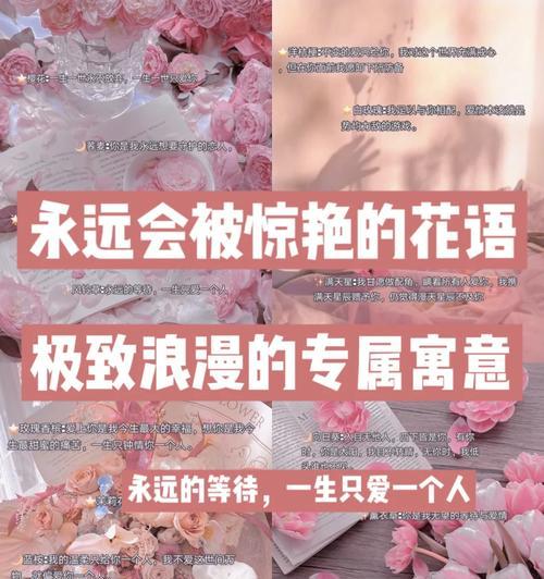如何用100种花语表达浪漫？