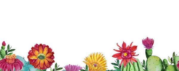 为何情人节选择仙人掌花作为礼物？
