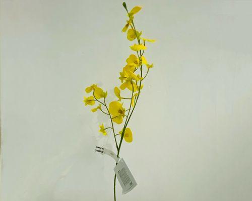 黄色塑料花的寓意是什么？它们在装饰中扮演什么角色？