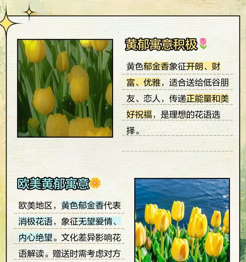 黄色塑料花的寓意是什么？它们在装饰中扮演什么角色？