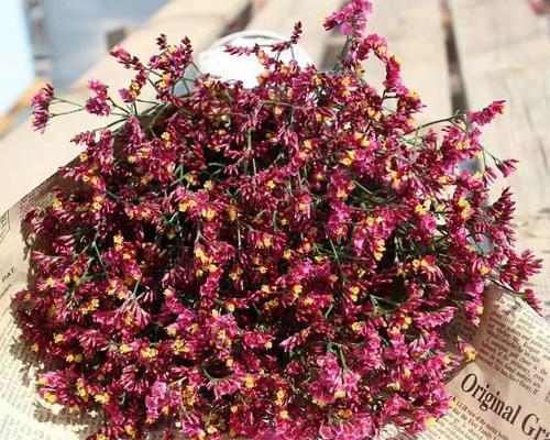 红色水晶花象征着什么？水晶花的寓意有哪些？