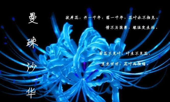 古代爱情寓意的花是什么？传统花卉在爱情中的象征意义？