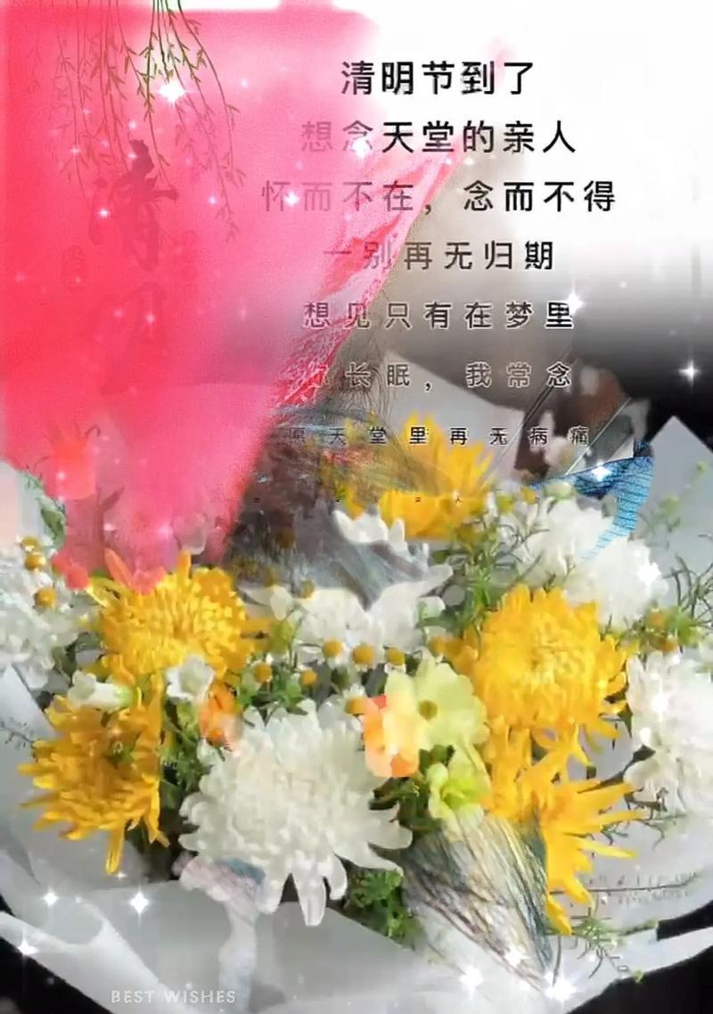 清明节送玫瑰花代表什么？
