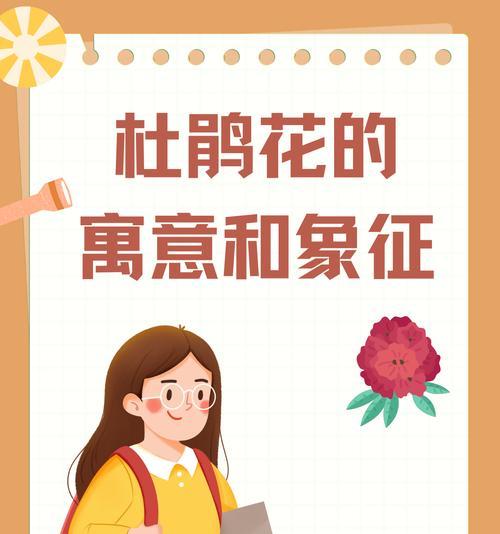 花的形状颜色意义是什么？如何理解花的象征意义？