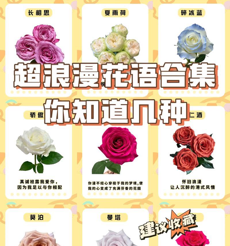 花语除了浪漫还有什么含义？它们还象征着什么？