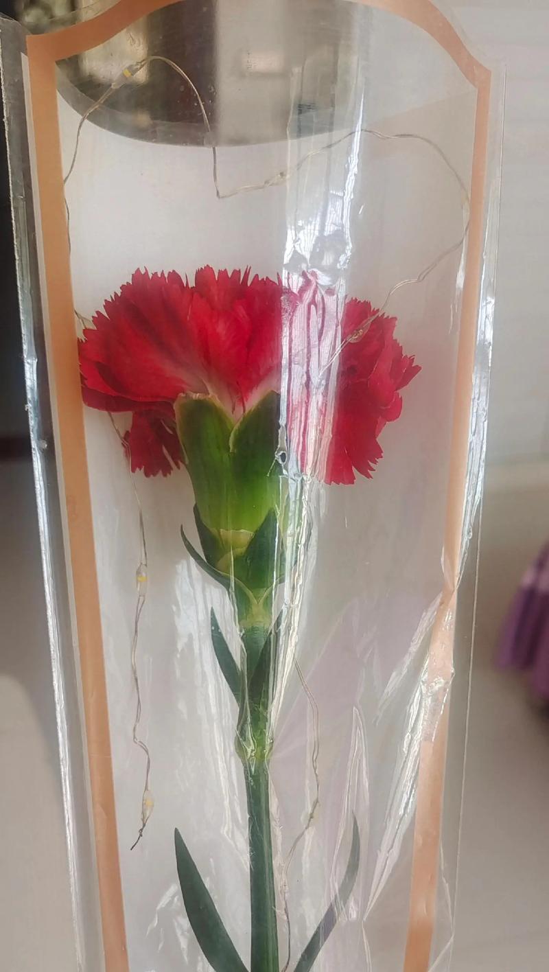 哪种花寓意开心快乐？
