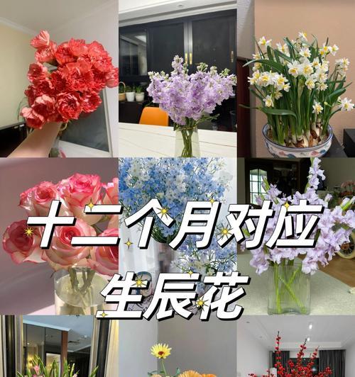 平安水晶的花语是什么？水晶花的寓意有哪些？