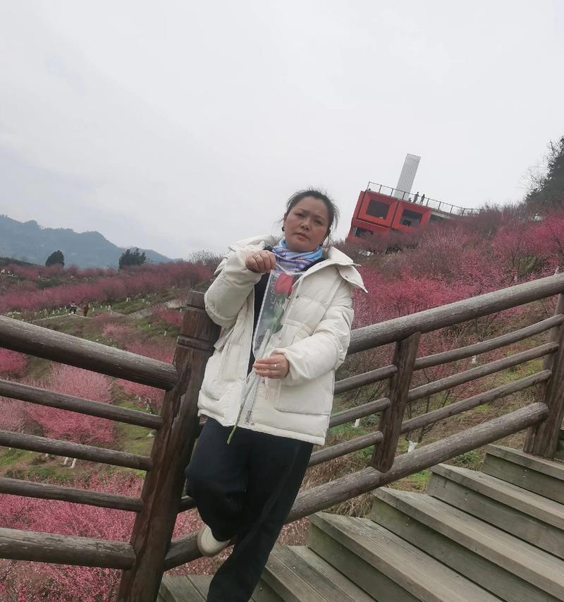 姑娘送玫瑰花代表什么？玫瑰花的寓意是什么？