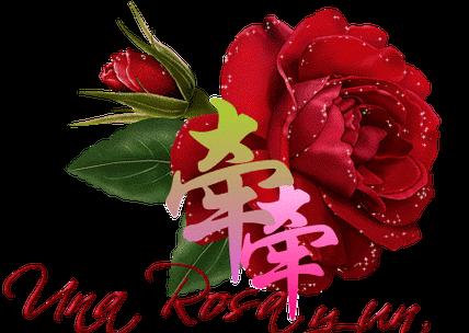 三八节送花有何特殊含义？